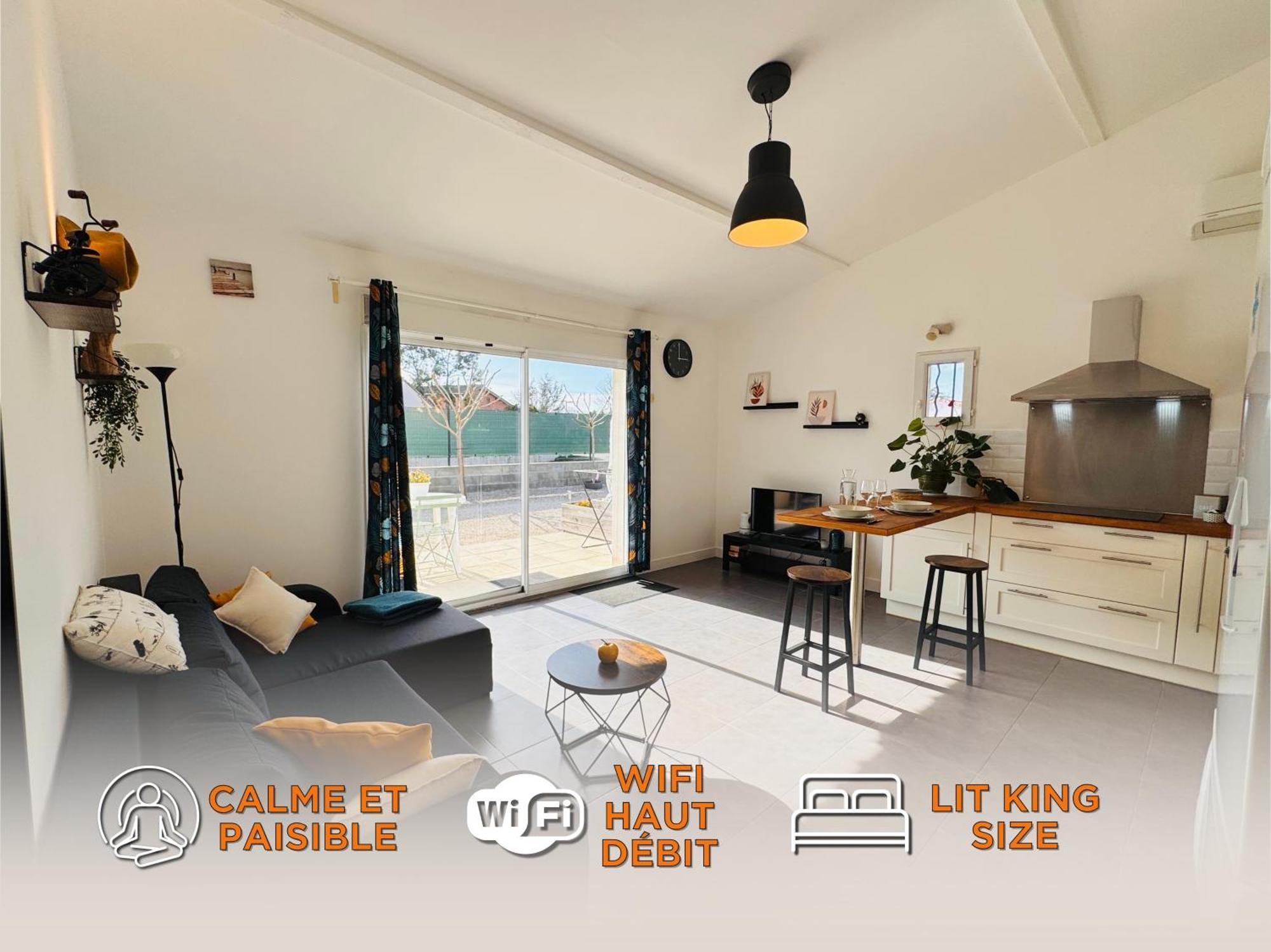 Le Cosy De La Ramee Appartement Tournefeuille