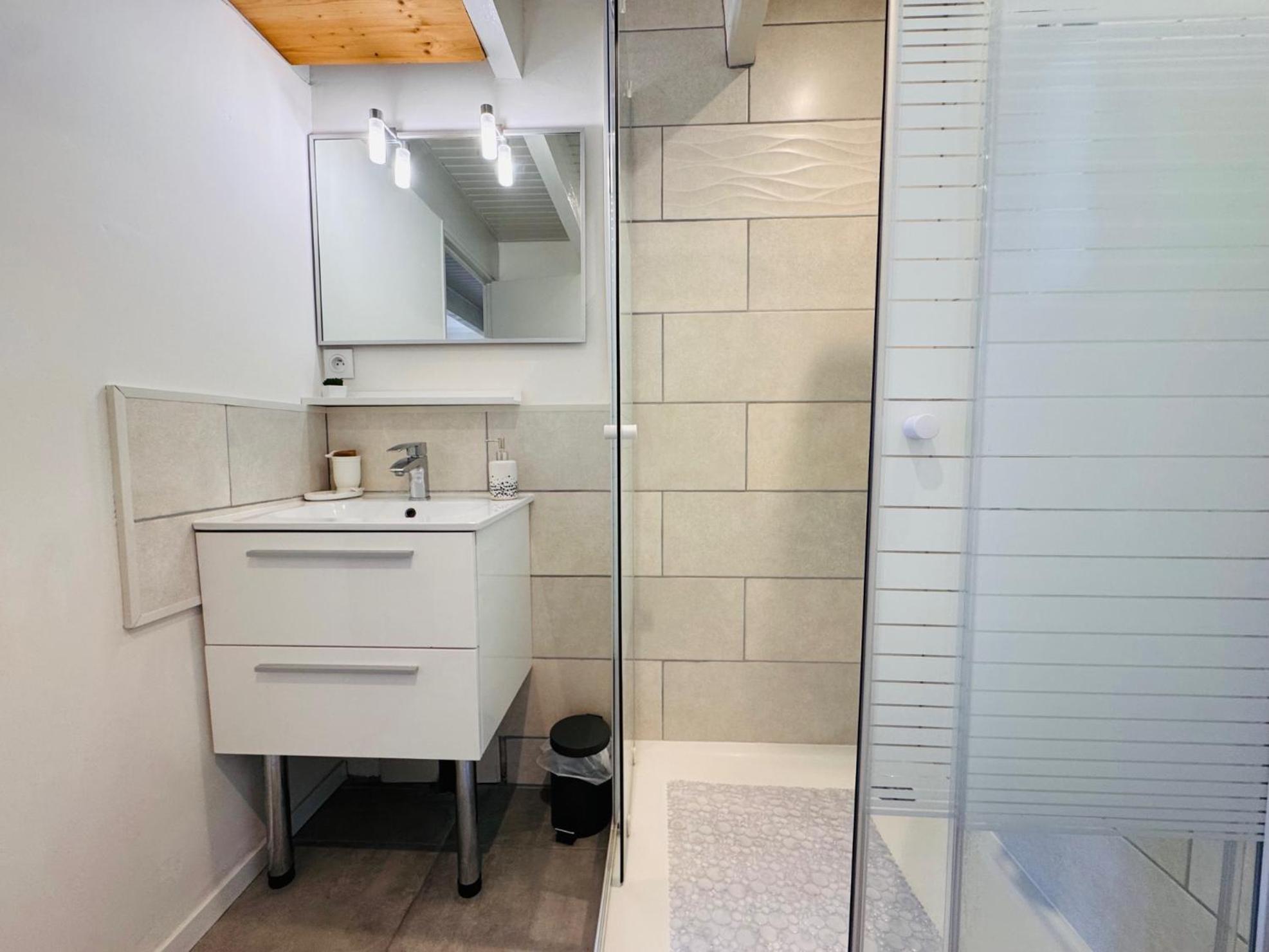 Le Cosy De La Ramee Appartement Tournefeuille